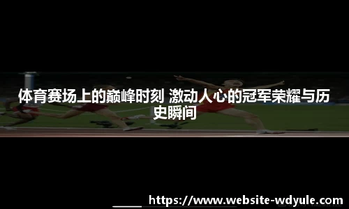 体育赛场上的巅峰时刻 激动人心的冠军荣耀与历史瞬间